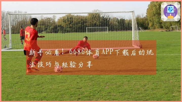 新手必看！6686体育APP下载后的玩法技巧与经验分享